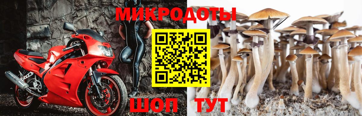 Корсаков  Псилоцибиновые грибы Cubensis  Вход с VPN 