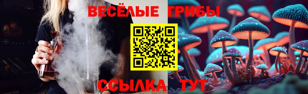 Псилоцибиновые грибы мицелий Корсаков